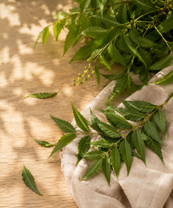Neem Oil