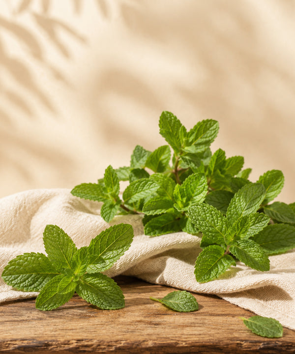 Peppermint Oil